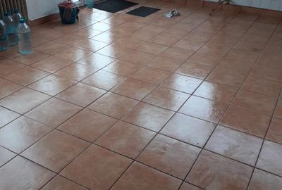 Spațiu comercial, de 100 mp, în Tileagd - 1