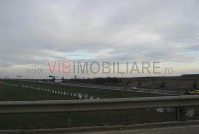 Teren de 61830 mp, în Belciugatele - 16