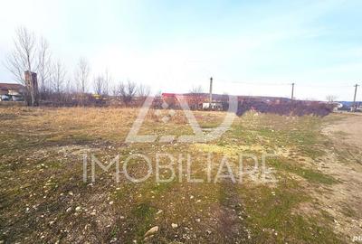 Teren de 12000 mp, în Rovinari - 4