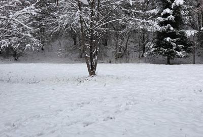 Spațiu comercial, în Central - 4