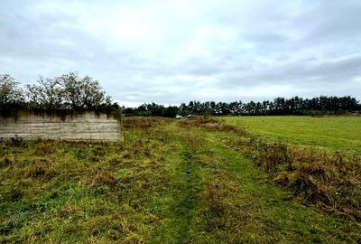 Vanzare 10.000 mp teren Liteni Suceava- la strada -potrivit proiect fonduri - 7