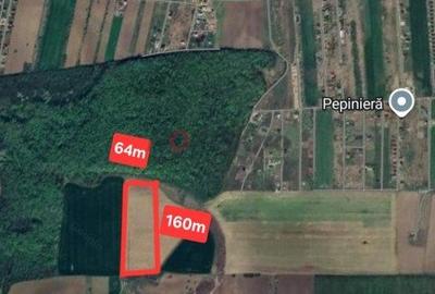 Terenuri Domnesti - 500mp -> 4 Ha - 21