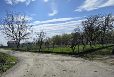 Teren Construcții intravilan de 1300 mp, în Curtișoara - 8