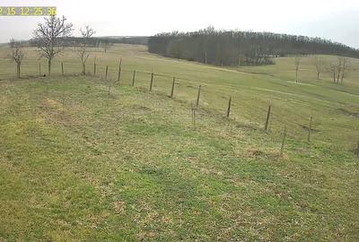 Casă cu 3 camere în Ardud - 6