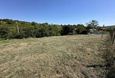 Teren de 1063 mp, în Exterior Vest - 5