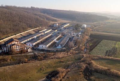 Fosta Ferma a Partidului de la Horgesti - de vanzare - 32