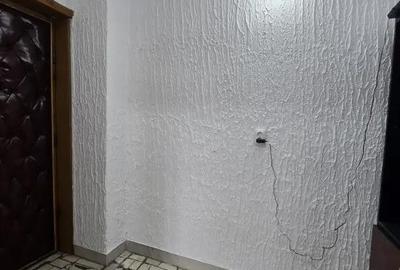 Apartament cu 4 camere decomandat în Piața Nouă - 14