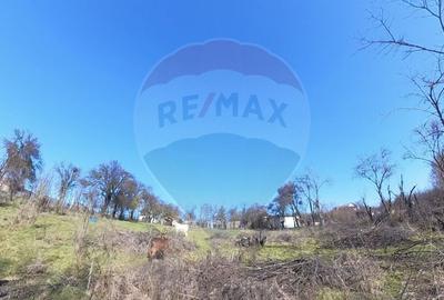 Teren Construcții intravilan de 2277 mp, în Petrăchioaia - 2