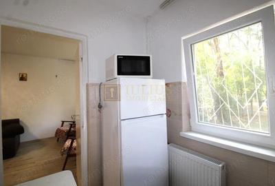 Garsoniera-Cetatii-Bogdanestilor-Balta Verde - 7