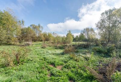 Proprietate rara in Covasna - liniste, spatiu si potential de investitie - 50