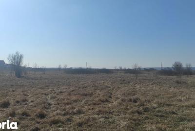 Teren de 500 mp, în Brestei - 2