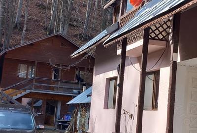 Casă cu 6 camere cu Teren 530 Mp în Măneciu - 10