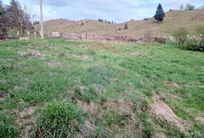 Teren Construcții intravilan de 941 mp, în Hangu - 25