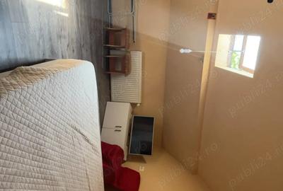 Pet Friendly Elisabetin Balcescu Maria Sinaia Medicina 2 Politehnica UVT - 2