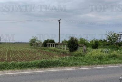 Teren intravilan - vanzare - centura - Cazasu - Braila - 1