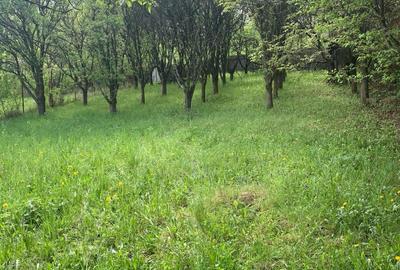 Breaza Vanzare  Pensiune Vila peste  20 camere 200 000eur Breaza Vanzare  Pensiune Vila peste  20 camere 200 000eur - 7