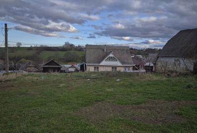 Teren de 5000 mp, în Valea Arini - 8