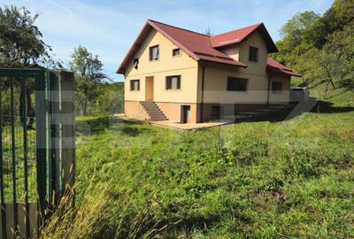 Casă cu 5 camere cu Teren 3000 Mp în Runcu - 18