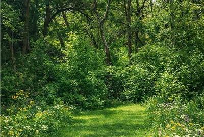 Spațiu comercial, în Vâlcele - 1