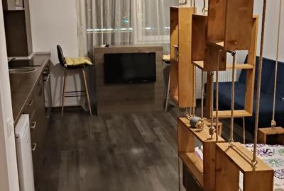 Garsonieră decomandată în Malul Mureșului - 2