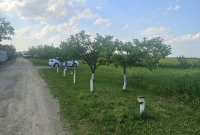 Teren de 475 mp, în Afumați - 6