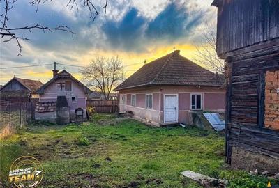 FILM! Gospodarie cu atmosfera traditionala,1.032 mp de verde si gradinarit, Sanzaieni, Covasna - 19