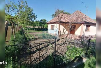 Casă cu 2 camere cu Teren 7000 Mp în Central - 12