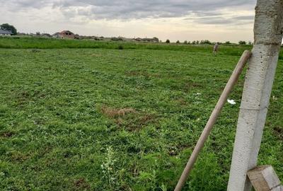 Teren de 804 mp, în Peciu Nou - 2