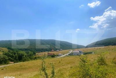 Spațiu comercial, în Sălicea - 3