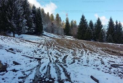 Teren in suprafata de 11 310  mp situat in Rasnov, Paraul Rece - 8