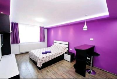 Garsoniera Tiglina 1 renovata mobilata si utilata complet - 7