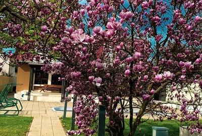 Unirii - Casa Zona Romcab - 600 mp - 1259 mp teren - Garaj dublu - piscina - 19