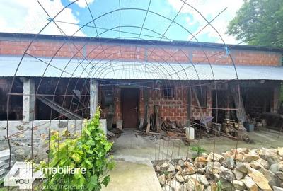 Casa in Loc. Pecica, teren 1602 mp, fs.17 ml, termoteca - 1