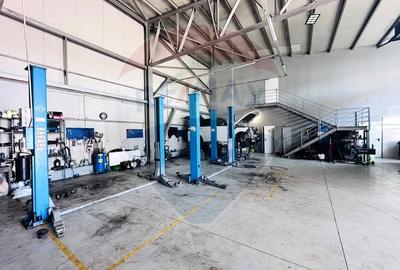 Hala Industriala - in Mogosoaia - 15