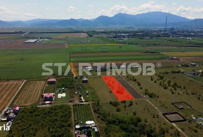 Teren de 2900 mp, în Sânpetru - 5