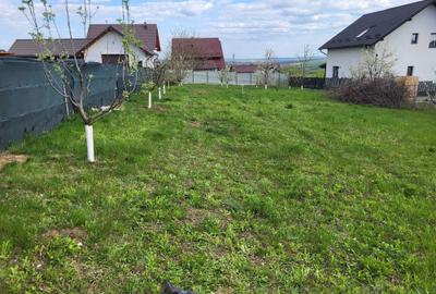 Teren de 900 mp, în Moara - 6