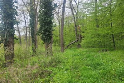 SUPER  OCAZIE TEREN 4000MP DE VANZARE IN SNAGOV CU DESCHIDERE LA LACUL SNAGOV - 6