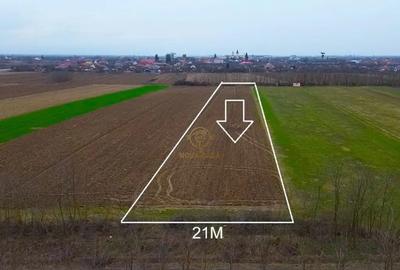 Teren în Medieșu Aurit - 1