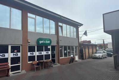 Spalatorie auto, spatii comerciale, b-dul N. Romanescu - 8