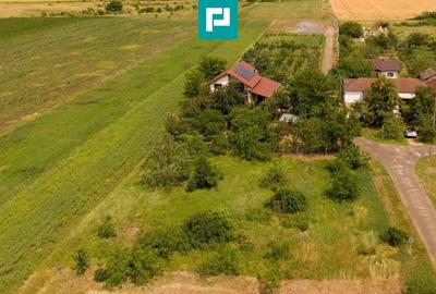 Teren de 602 mp, în Cicir - 9