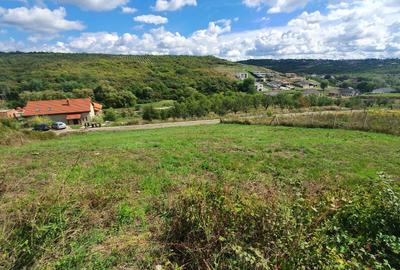Spațiu comercial, în Săldăbagiu de Munte - 2
