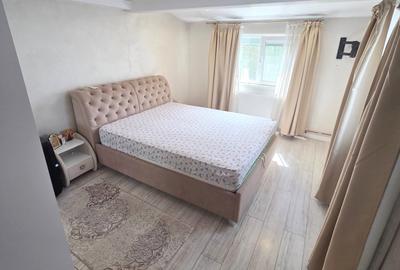 Voluntari, Andronache, vila P+1+M renovata, curte amenajata Voluntari, Andronache, vila P+1+M renovata, curte amenajata - 13