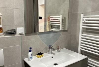 Apartament 1 camera Central complex Ozana Targu Neamt - 9