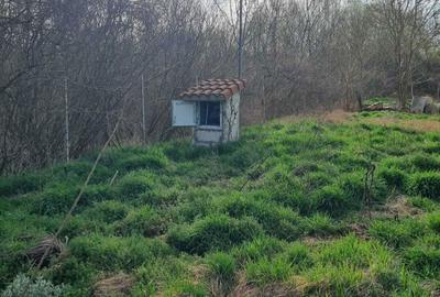Casă cu 4 camere în Uzlina - 8