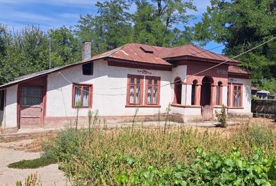 Vand casa, comuna Ciocanesti, judetul Calarasi - 4