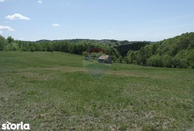 Teren de 7500 mp, în Copalnic - 3