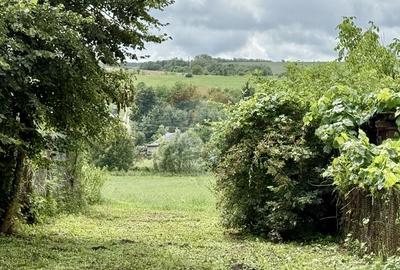 Teren Construcții intravilan de 3200 mp, în Așchileu Mic - 2