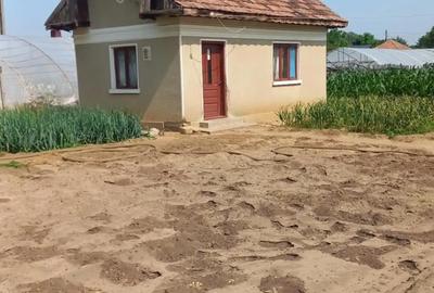 Casă cu Teren 1300 Mp în Central - 1