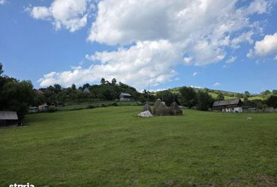 Teren de 6312 mp, în Rucăr