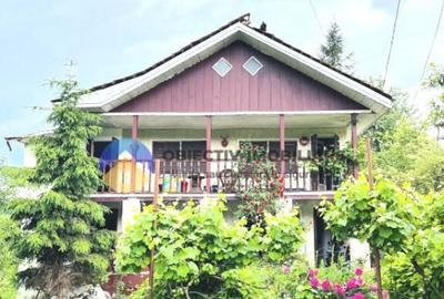 CASA cu etaj comuna ALEXANDRU CEL BUN - VADURELE - 12